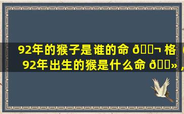 92年的猴子是谁的命 🐬 格（92年出生的猴是什么命 🌻 ,婚姻怎样）